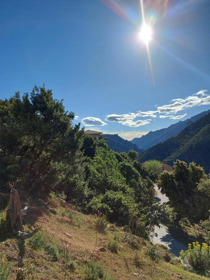 Residence E Cime Asco Locations De Studios Meubles Eksteriør bilde