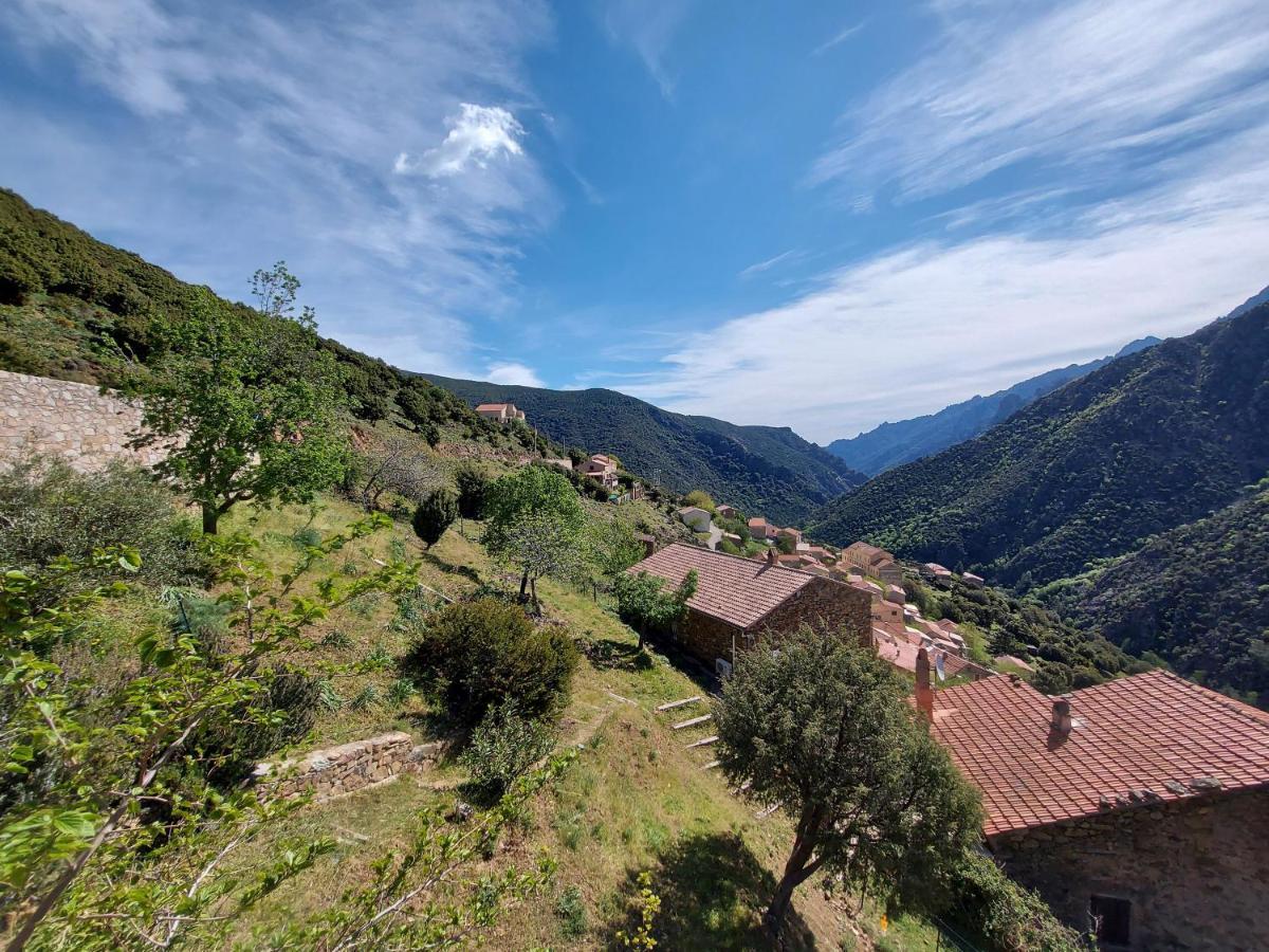Residence E Cime Asco Locations De Studios Meubles Eksteriør bilde