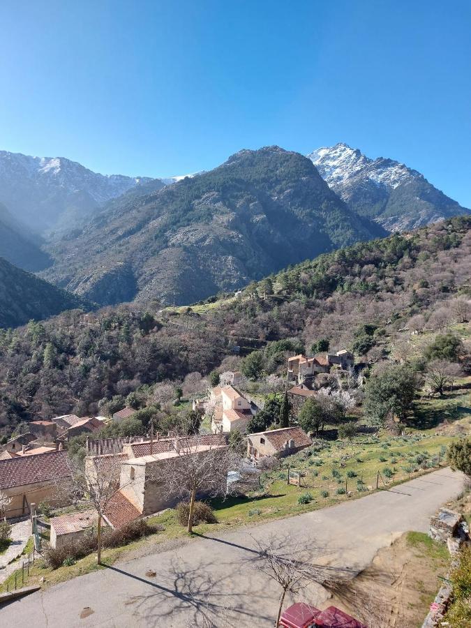 Residence E Cime Asco Locations De Studios Meubles Eksteriør bilde