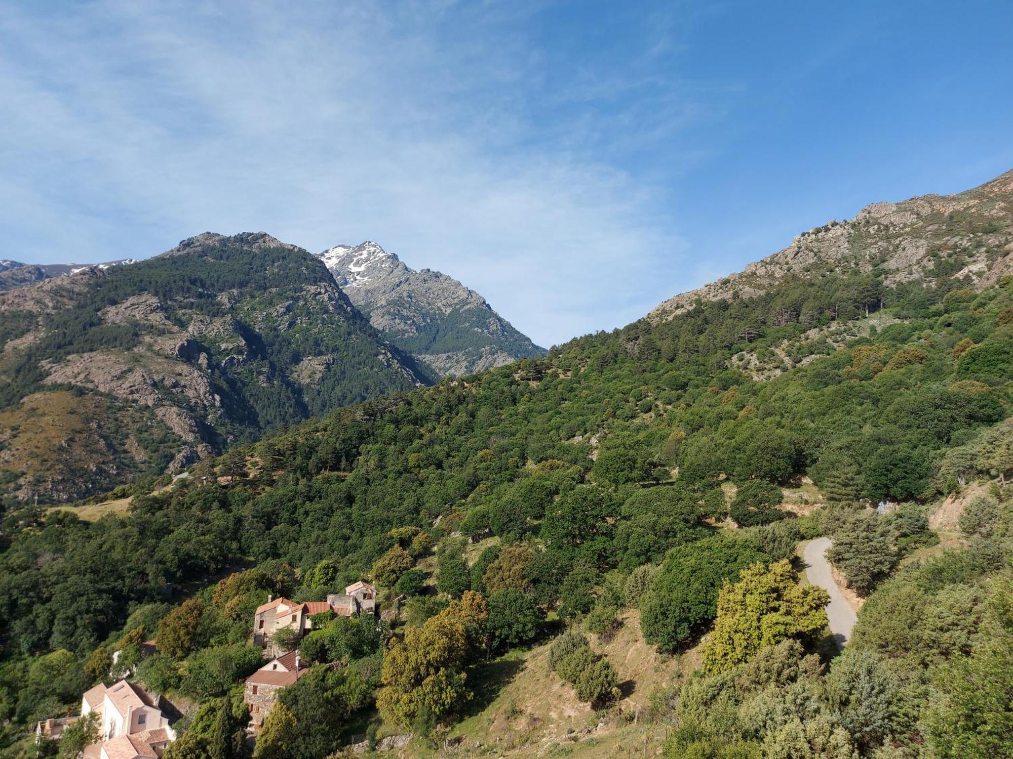Residence E Cime Asco Locations De Studios Meubles Eksteriør bilde